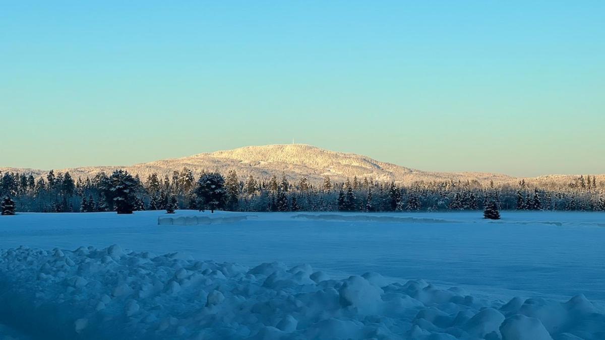 W Wilderness Feeling 20 Min From Airport Дом отдыха *