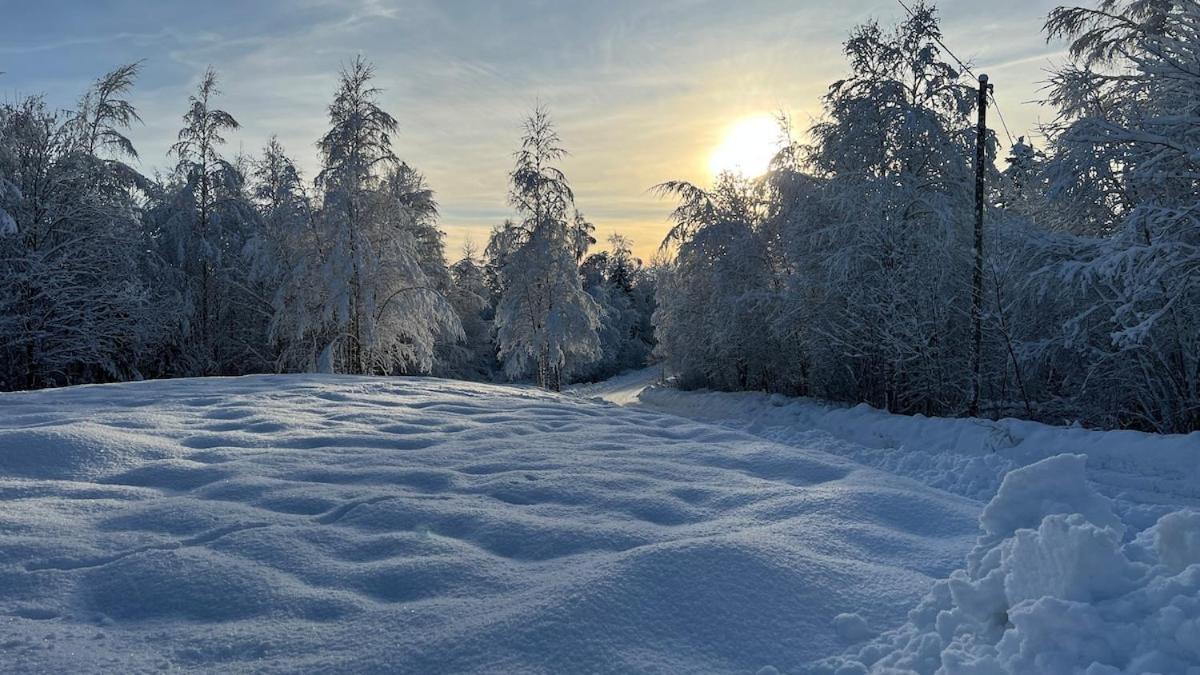 W Wilderness Feeling 20 Min From Airport Holiday home Maura