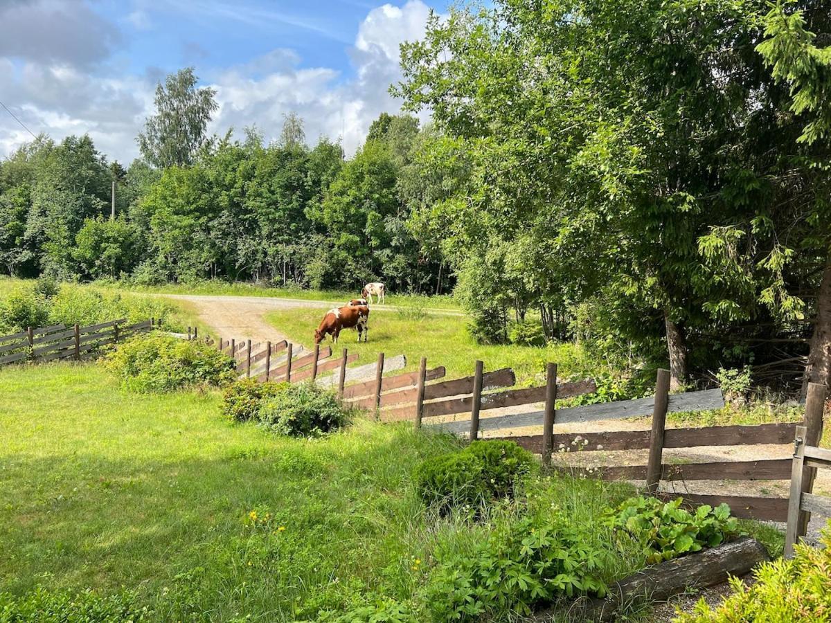 W Wilderness Feeling 20 Min From Airport Maura