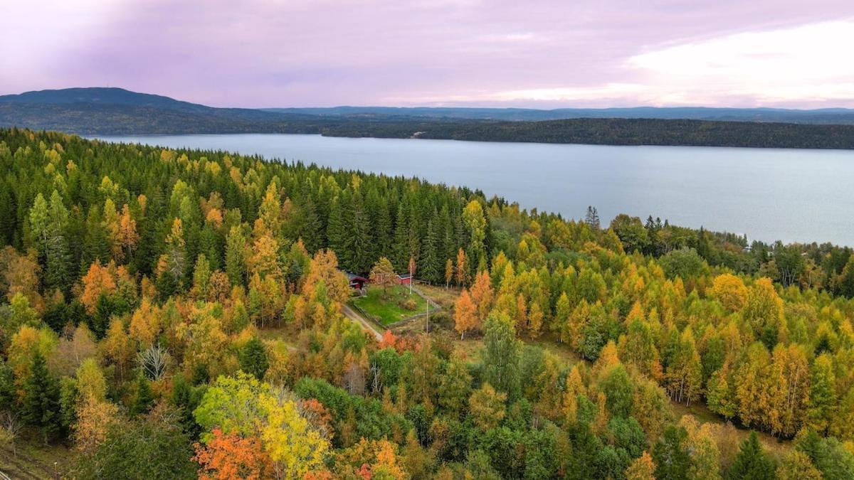 W Wilderness Feeling 20 Min From Airport * Maura