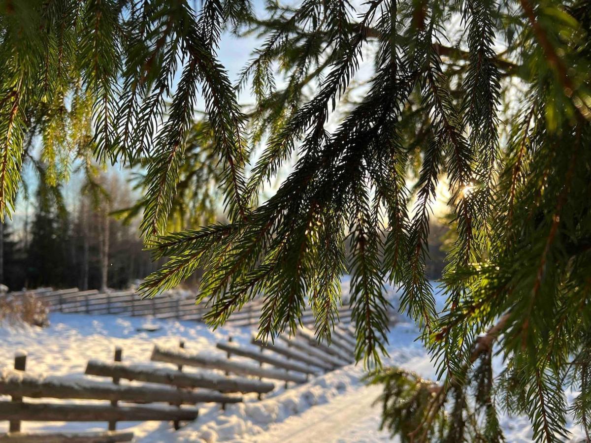 W Wilderness Feeling 20 Min From Airport